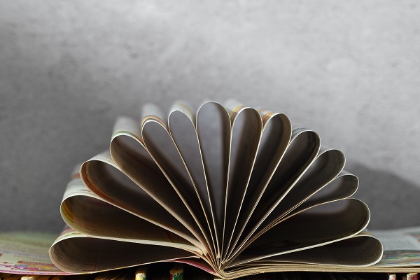 Виды журналов